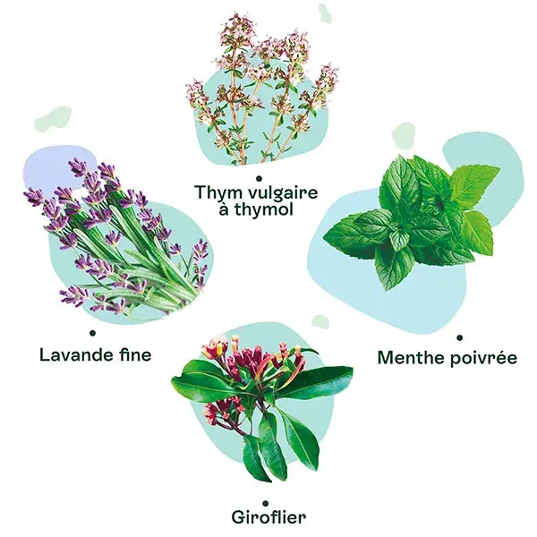 Cápsulas Naturaactive GAE Orgânicas para o Sistema Respiratório com Óleos Essenciais - 30 cápsulas
