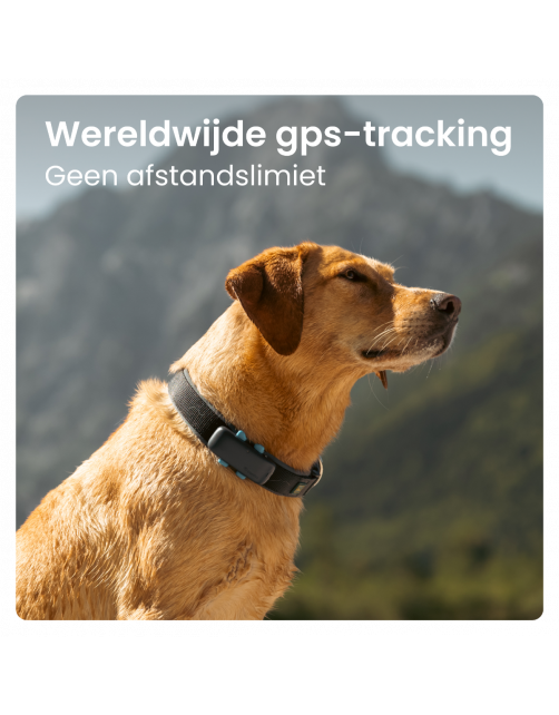 Tractive Gps Dog 4 Hondentracker En Activiteitenmonitor 17x71x28 mm - Hondenlocatievinder