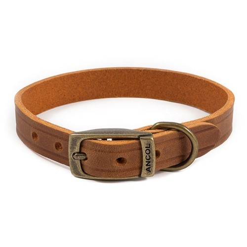 Coleira Heritage Whip em couro para animais de estimação, cor castanha.
