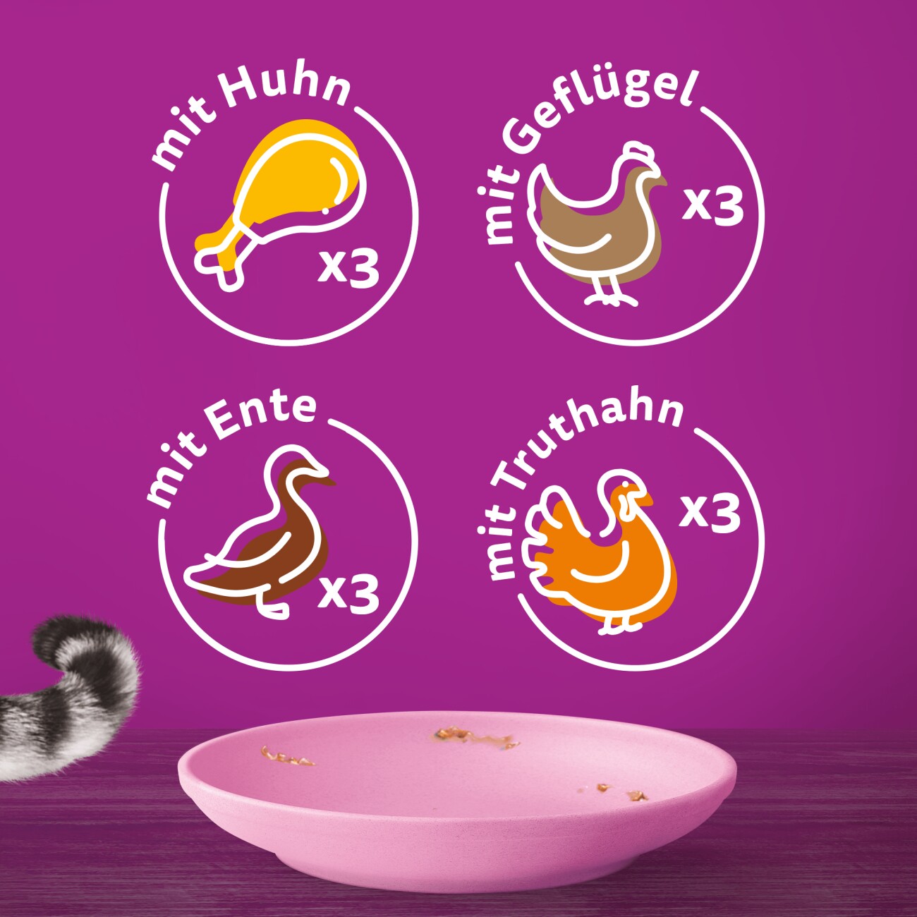 Whiskas Multipack Junior Geflügel Auswahl in Gelee 12 x 85g