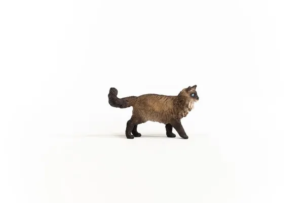 Schleich Ragdoll Cat