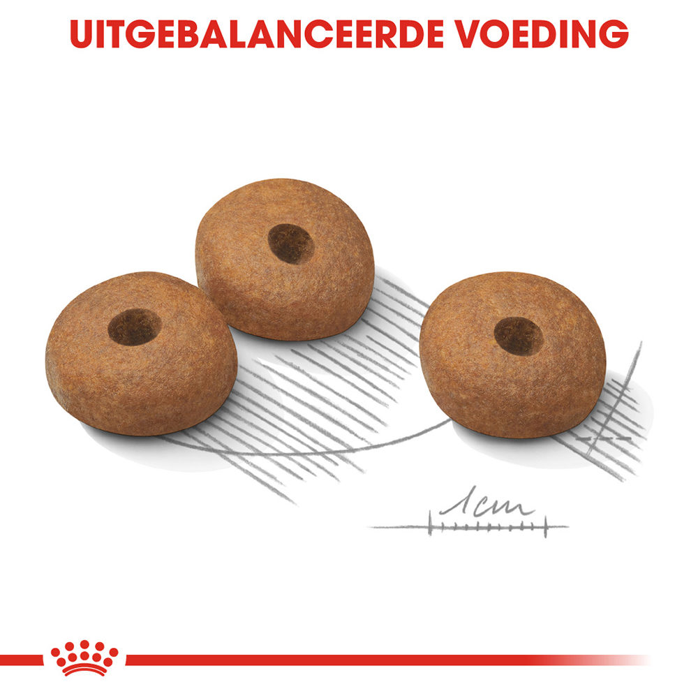 Royal Canin Mini Light Weight Care - Hondenvoer