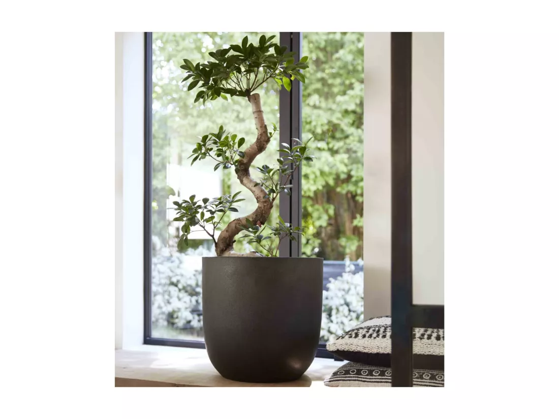 Jardinière Urban Smooth 35 x 34 cm Noir KBL932