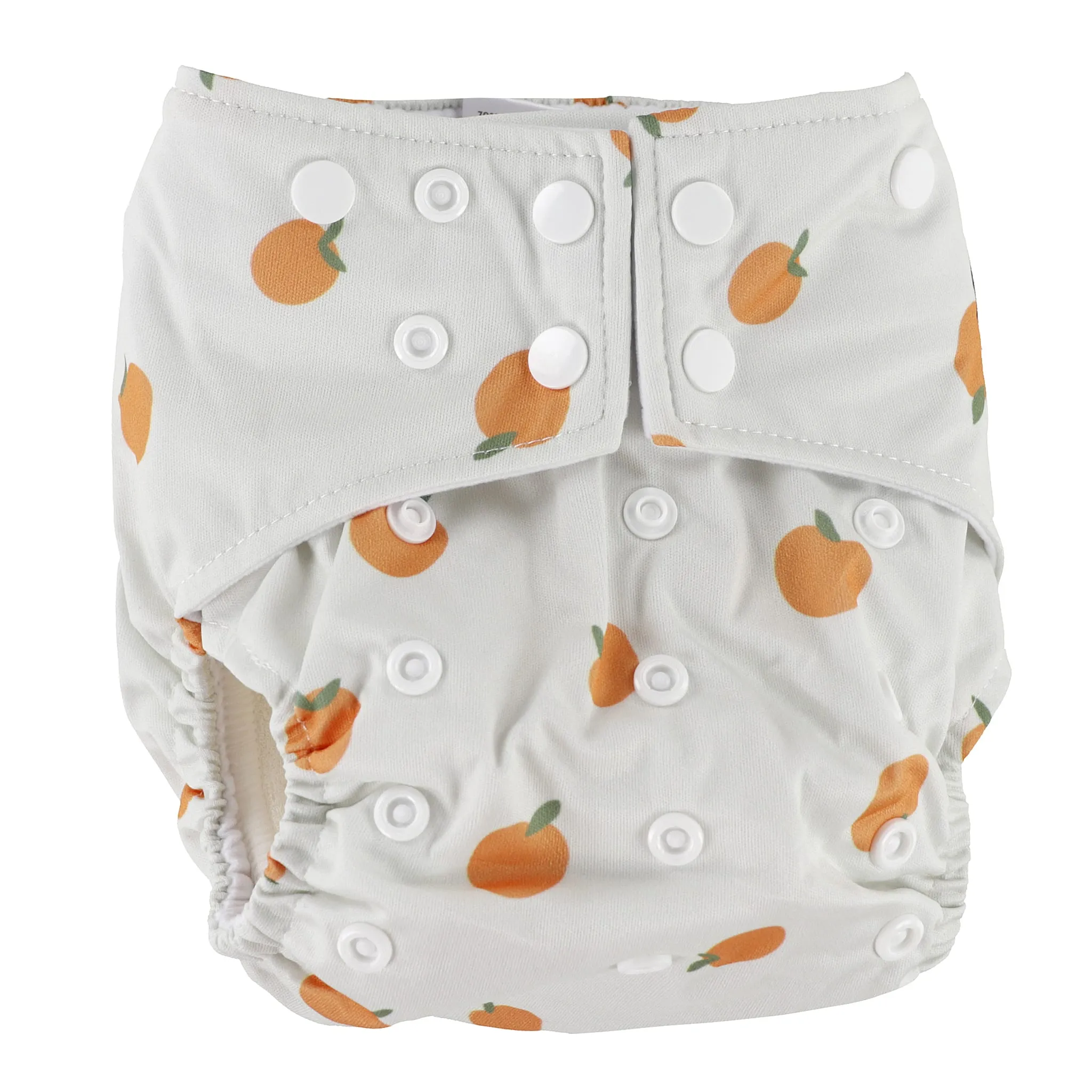 La Petite Ourse Couche Lavable 10-35lb - Pêche