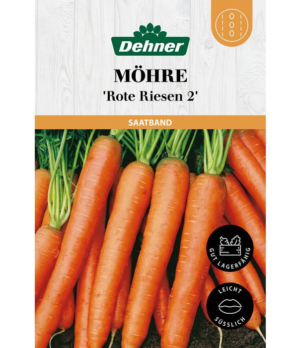 Dehner Saatband Möhre 'Rote Riesen 2', L5 m
