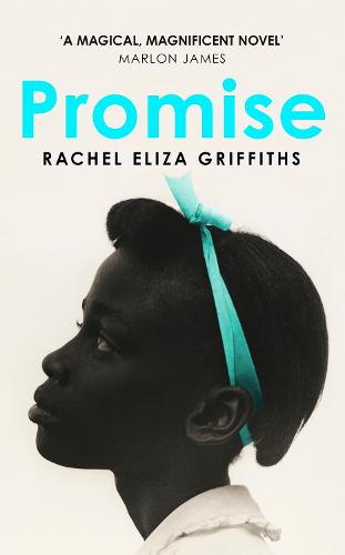 Promise (Hardback)
