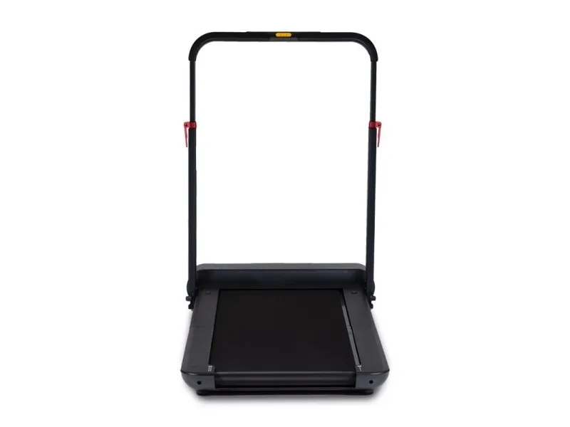 WalkingPad Pro