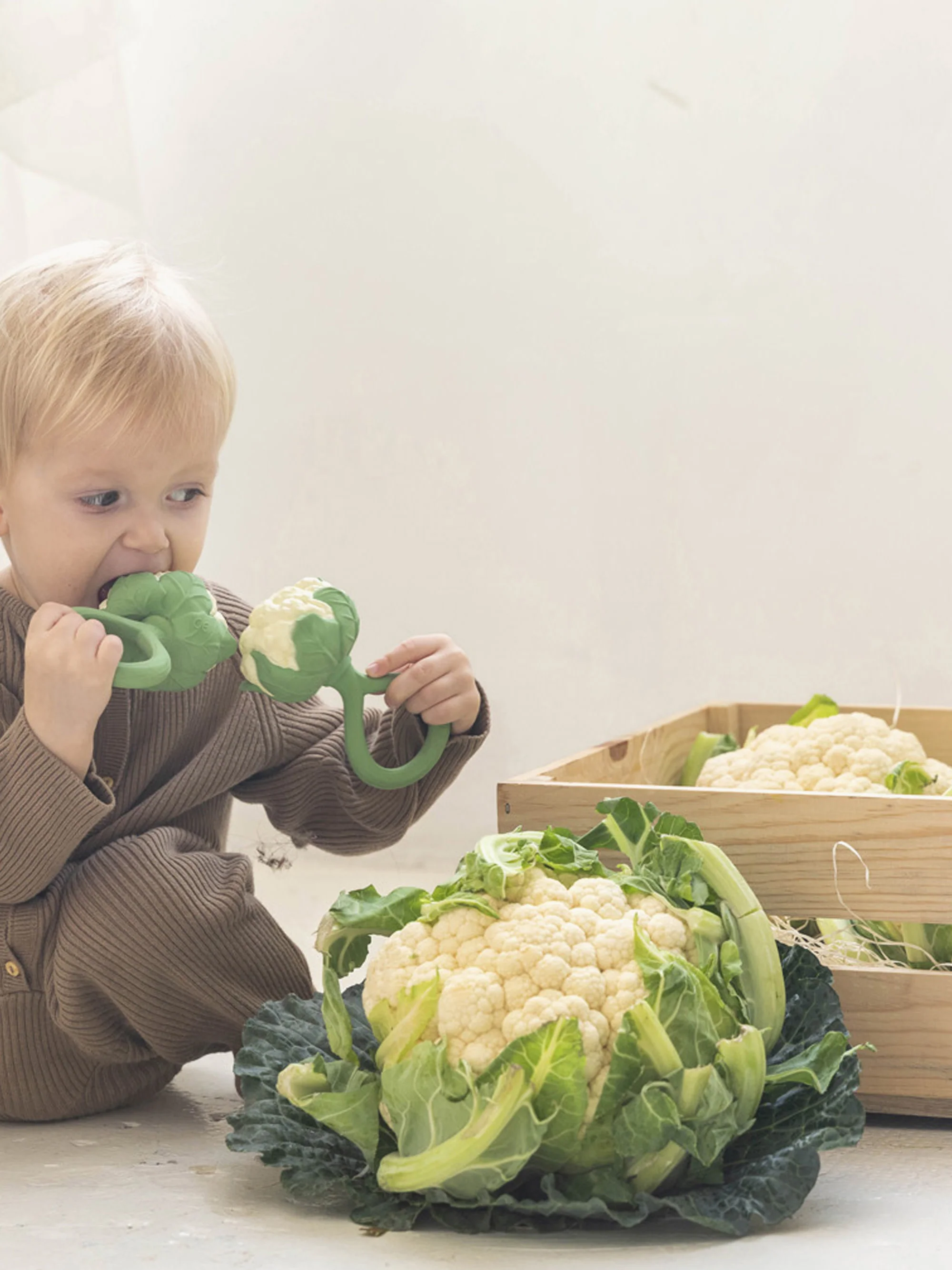 Handgemaakte rammelaar Cauliflower