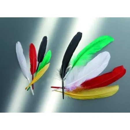 Glorex Indianerfeder 13cm, 15 Stück