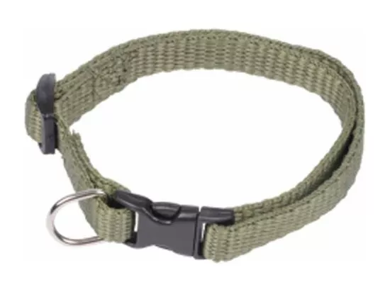 Collier Réglable pour Chien 