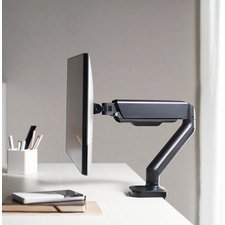 Bras support pour écran, longueur bras 450 mm, noir