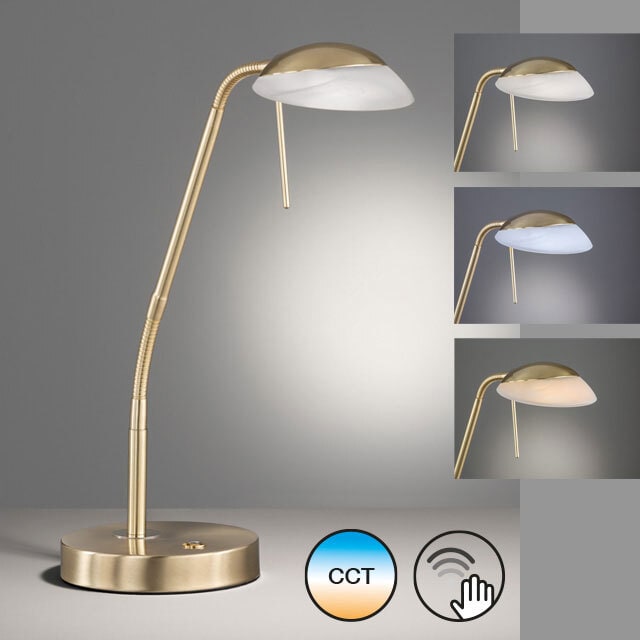 FISCHER & HONSEL LED Tischlampe POOL TW messingfarbig