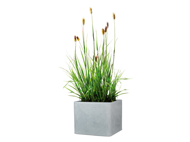 Plantenbak
