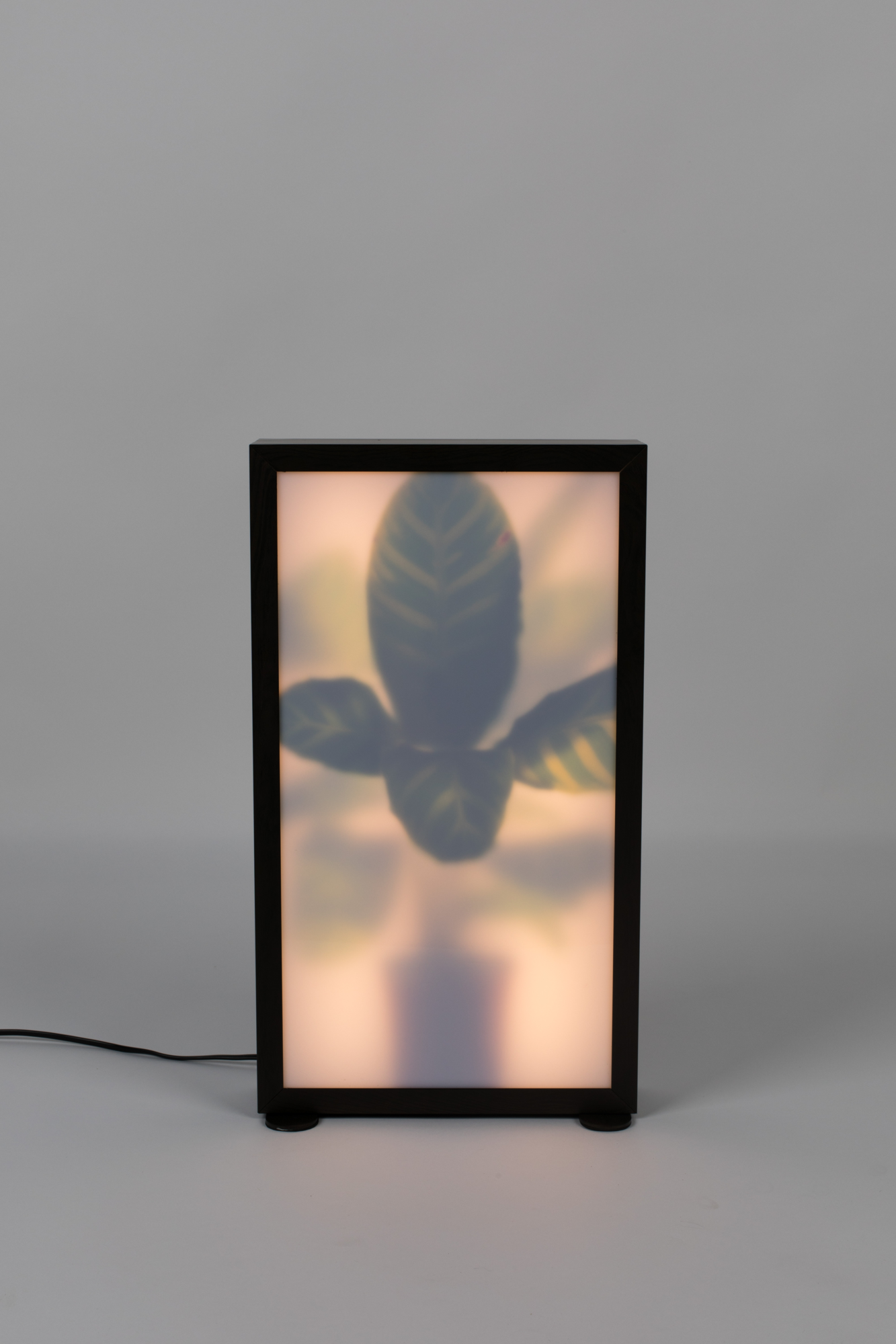 Vloerlamp Grow M
