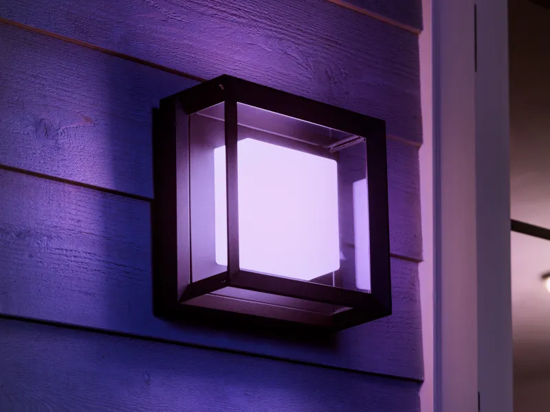 Philips Hue White Color Ambiance Econic Udendørs Væg/lofslampe