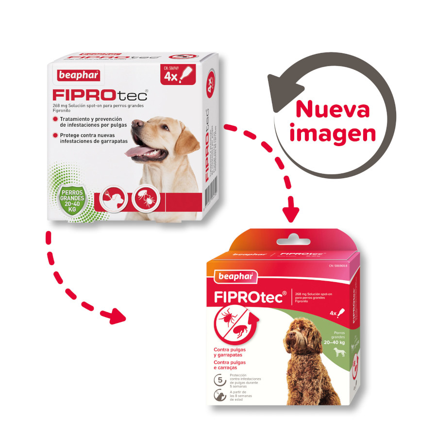 Pipetas Beaphar FiproTec para cães de raças grandes
