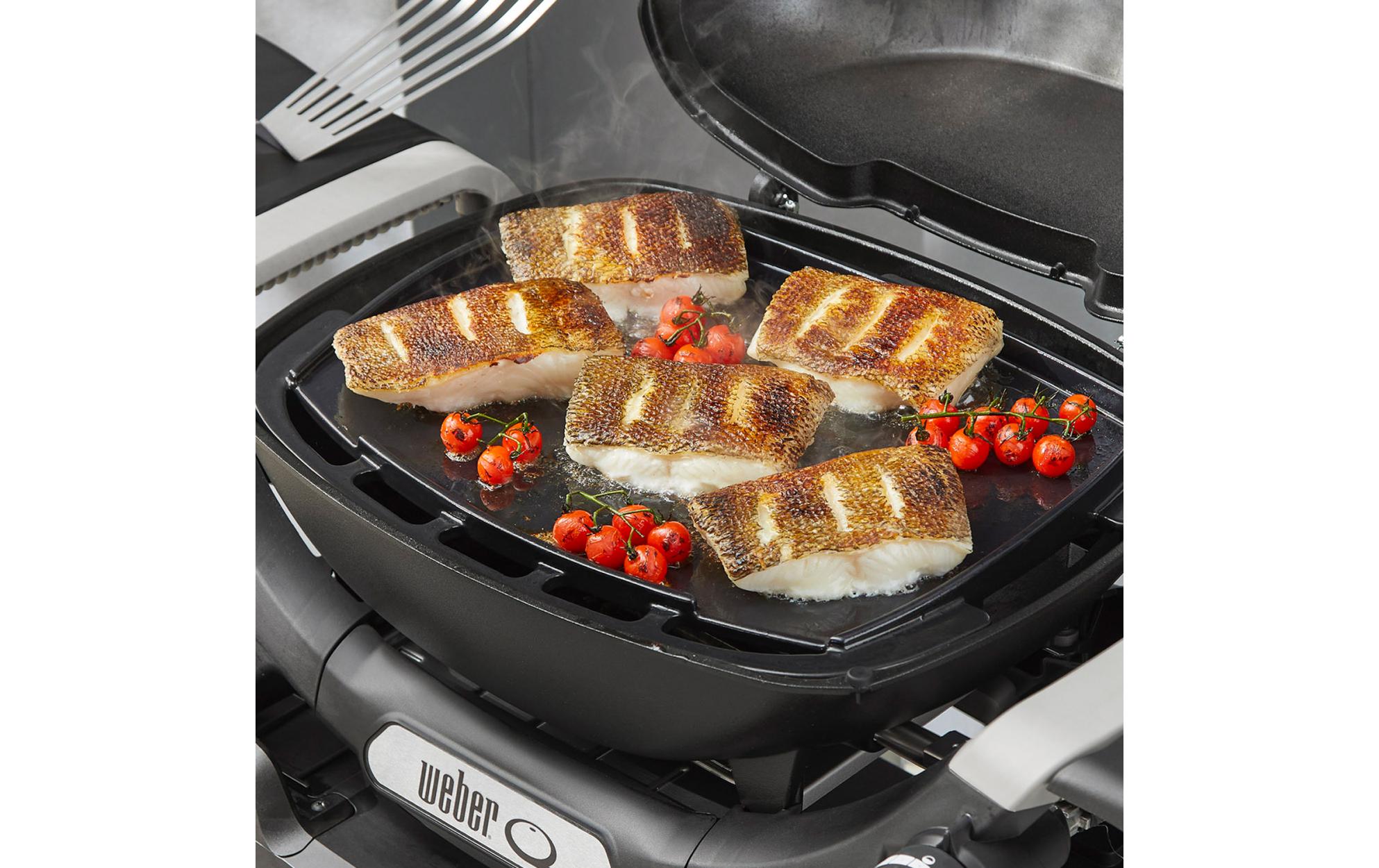 Grillplatte für Q1000N-Serie (2025)<br>Grillplatte