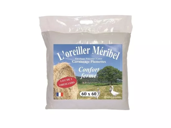 Lot De 2 Oreillers Plumes 60 X 60 Cm 