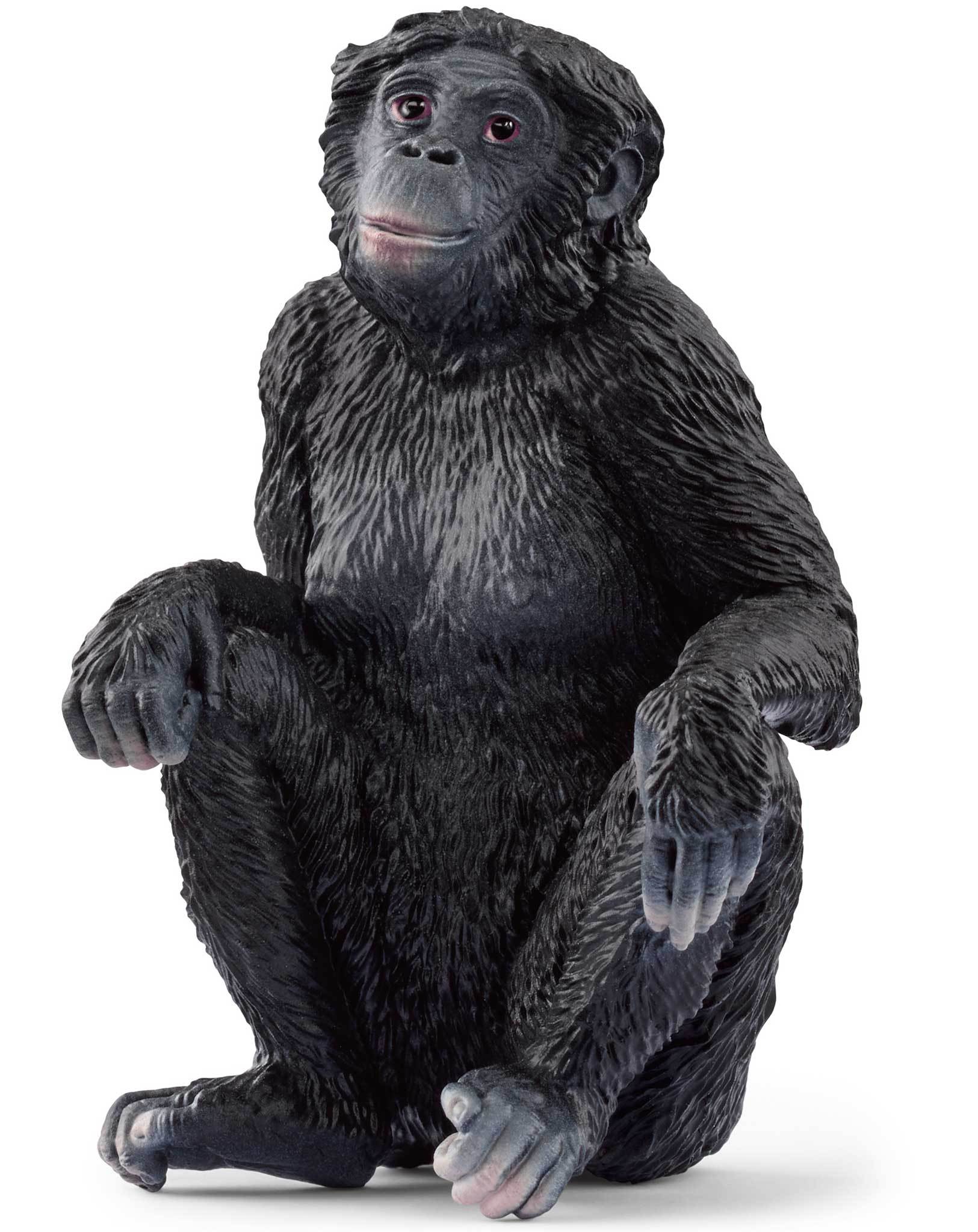 schleich® 14875 Wild Life - Bonobo Weibchen