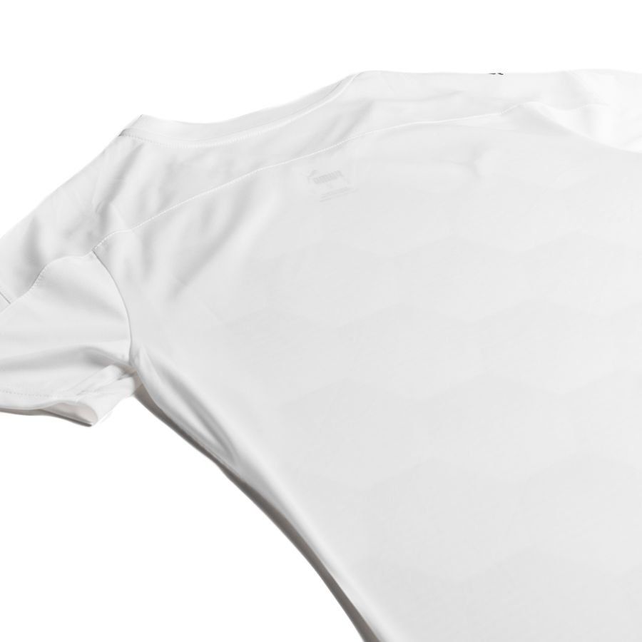 PUMA Maillot teamFINAL 21 Graphic - Blanc/Gris