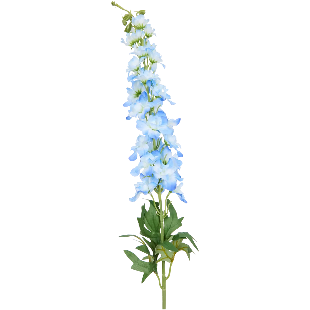 Delphinium sur tige