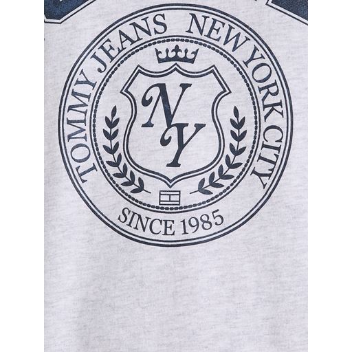 Tommy Jeans TJM Vintage Arch Tommy T-shirt, Silver Grey, XXL
