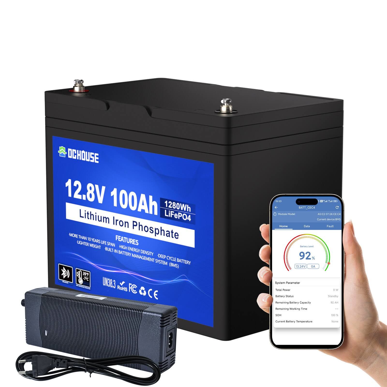 dc house 12V 100Ah LiFePO4 Bluetooth Lithium Batterie 100A BMS mit 10A Batterieladegerät