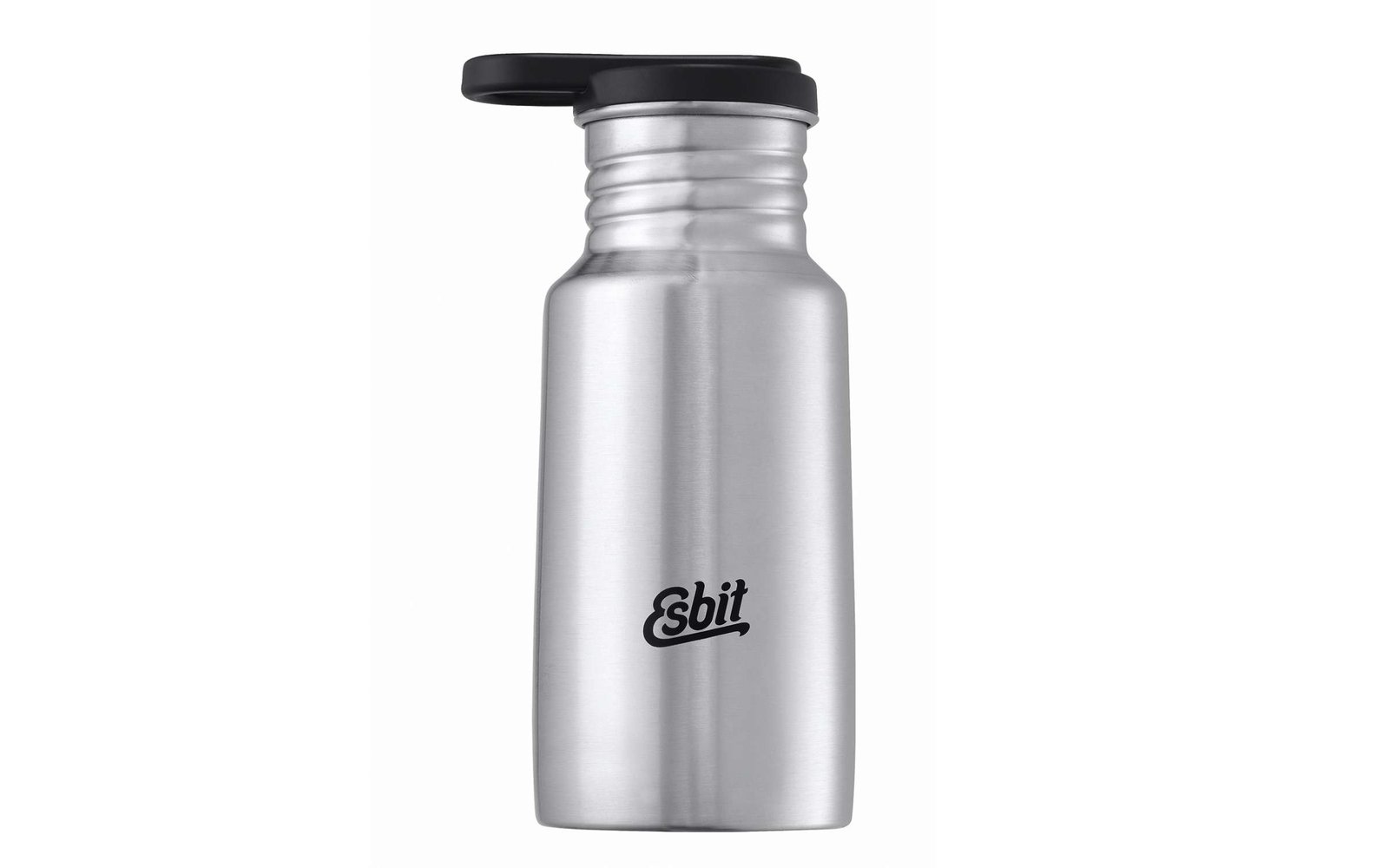 Esbit Pictor  Trinkflasche 350ml Edelstahl matt