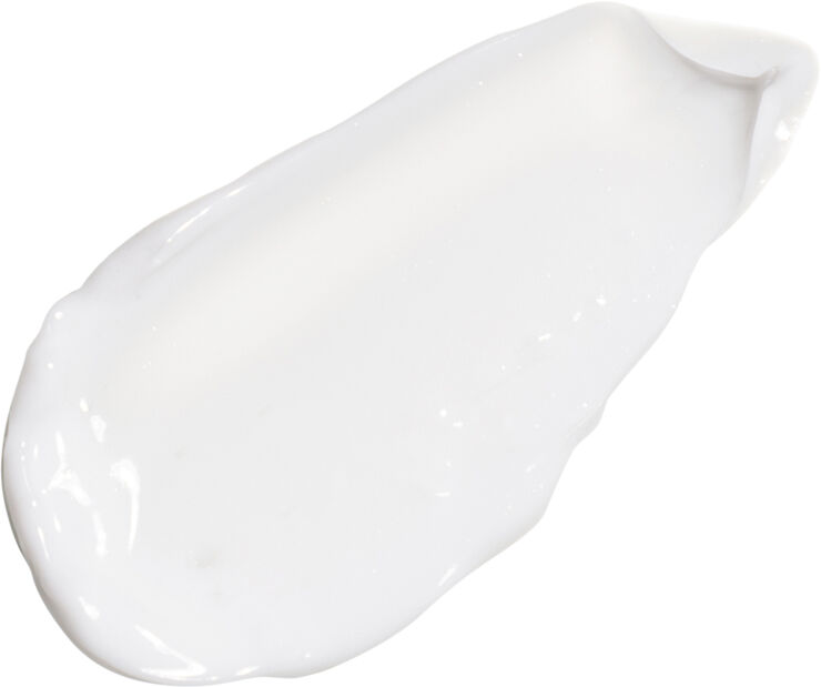 The Ordinary Natural Moisturizing Factors   HA