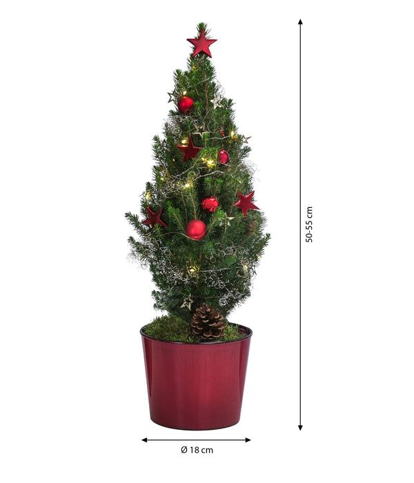 Geschmückter Weihnachtsbaum Antikrot, mit