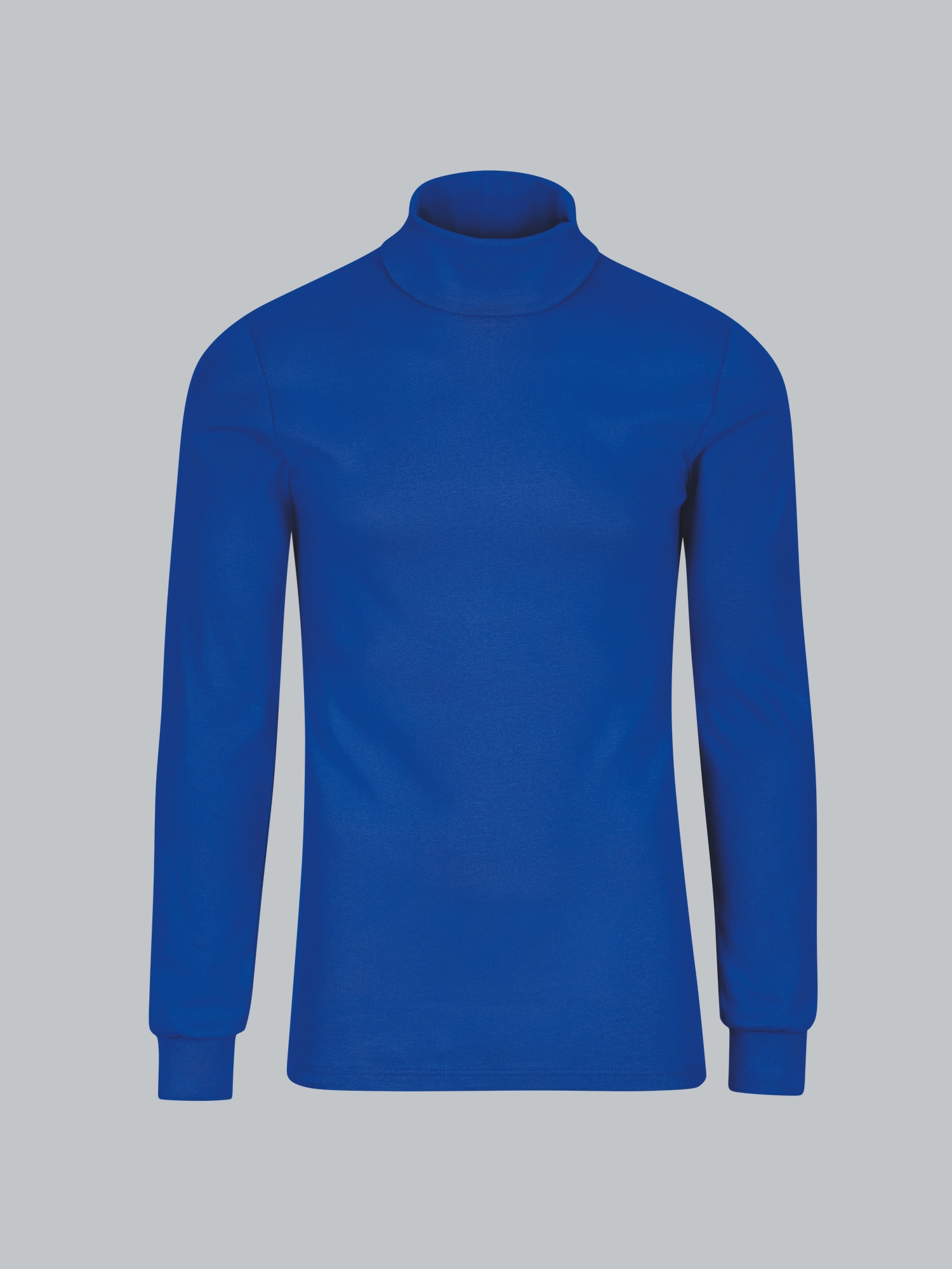 Langarm Ski/Sportrollkragenpullover Royal