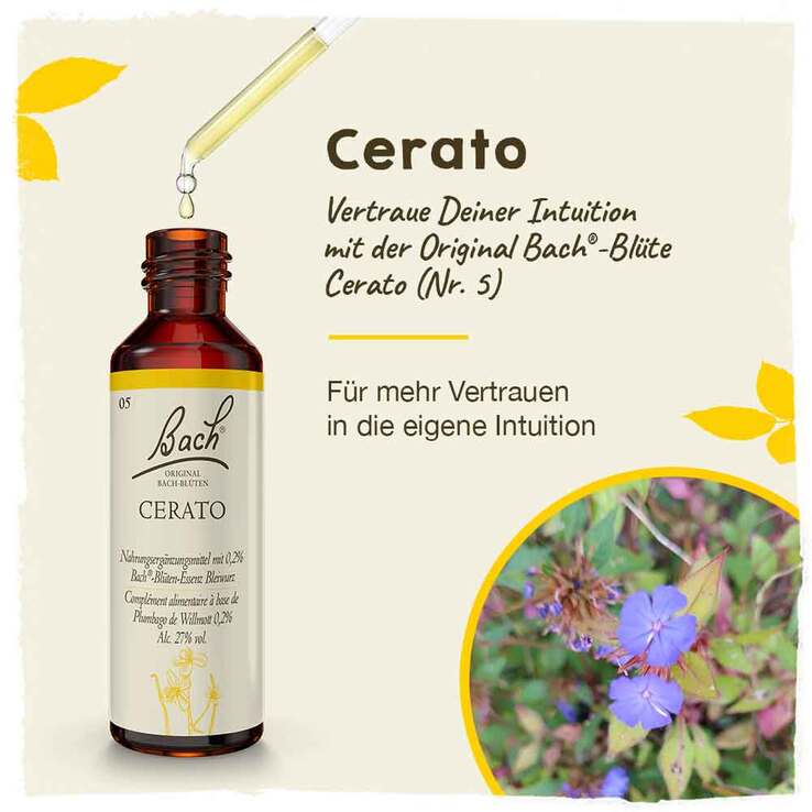 Bachblüten Nr. 5 Cerato Tropfen, 20 ml