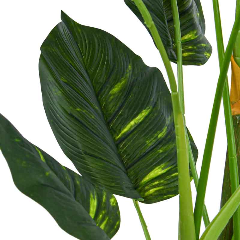 Alocasia en pot vert