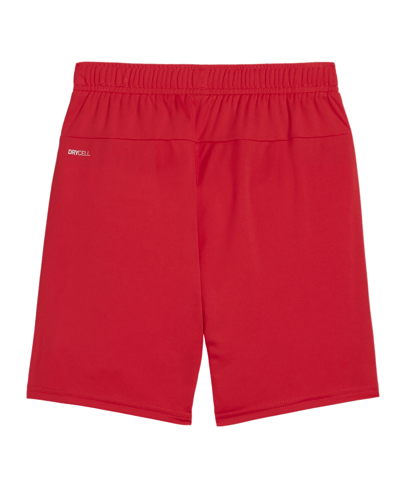 PUMA teamGOAL Short Kids Rot Weiss F01