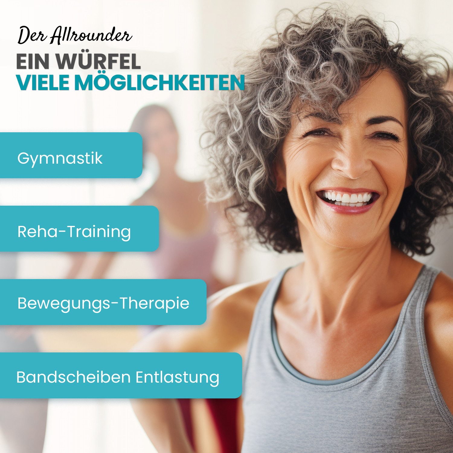 aktivshop Bandscheibenwürfel