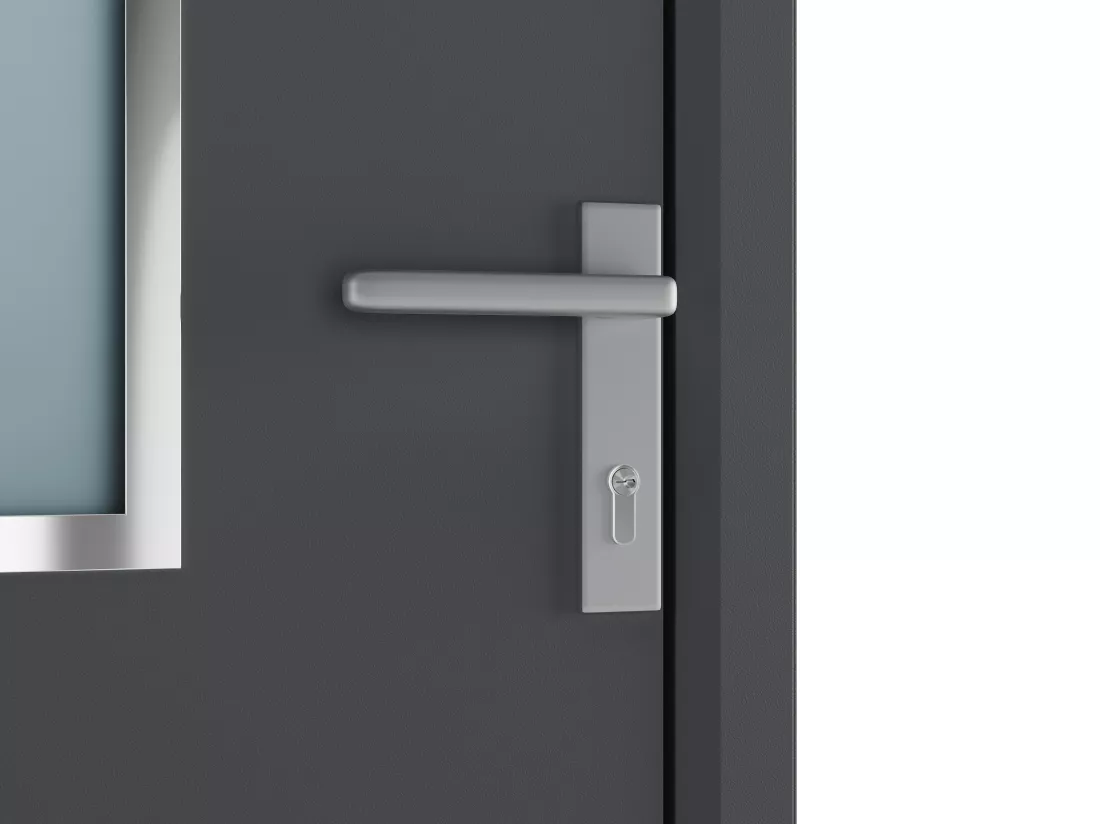 Porte d'entrée en aluminium H218 x L96 cm anthracite - poussant gauche - ROSILVA