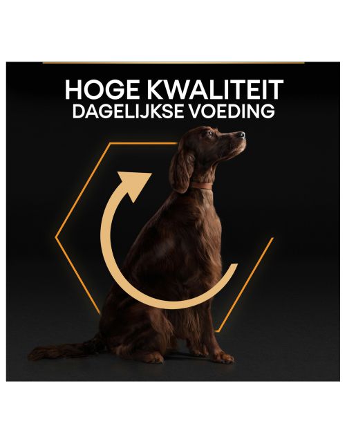 Pro Plan Dog Adult Athletic Large Breed Kip - Hondenvoer