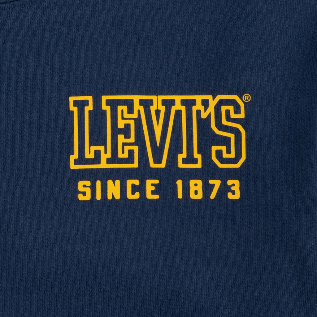 Levi's longsleeve HIGH PEAKS met backprint donkerblauw