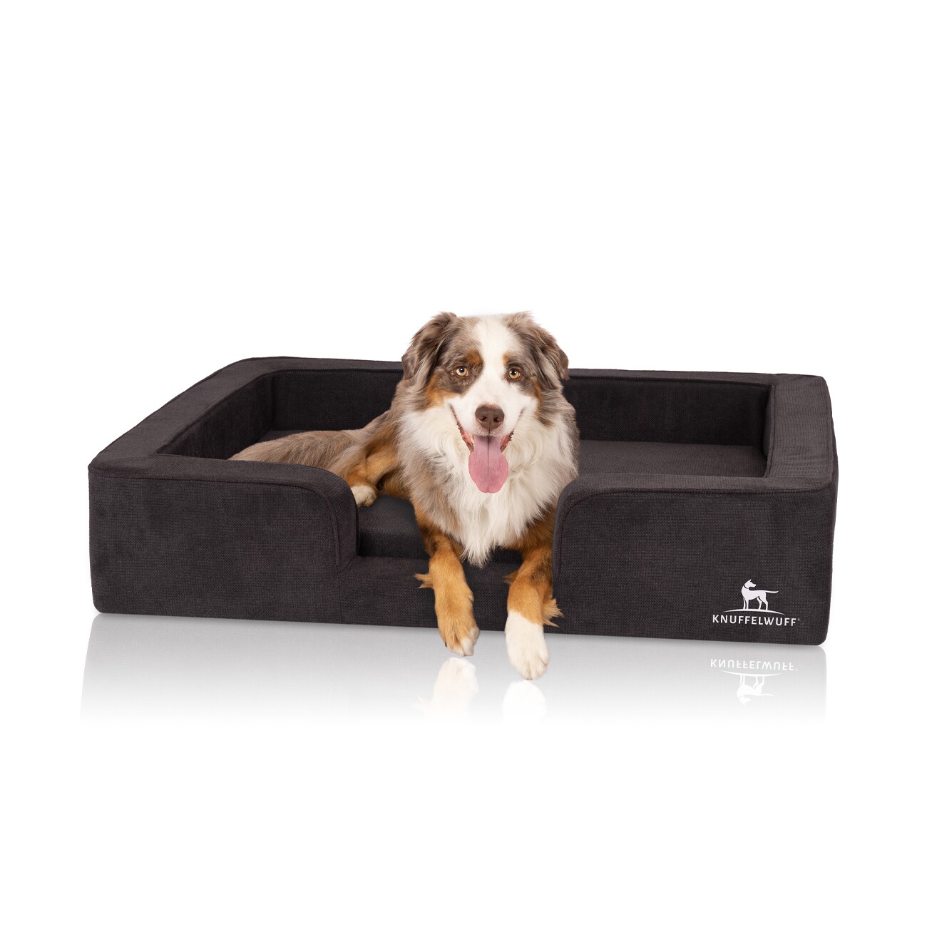 Knuffelwuff orthopädisches Hundebett mit Wendekissen aus Velours Bellamy schwarz M-L