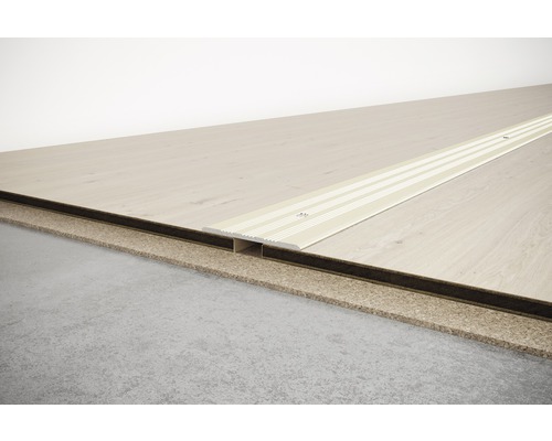 SKANDOR overgangsprofiel champagne geanodiseerd geperforeerd 2x29,5x900 mm