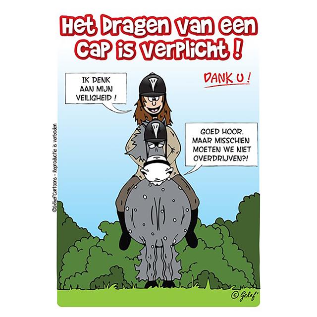 Stalplaat HB Cap Verplicht
