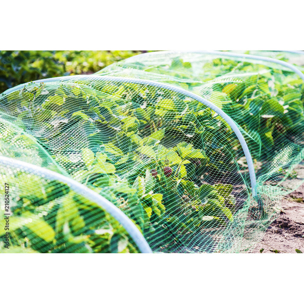 Moustiquaire multi-usage Out Insect blanc 130xL500cm