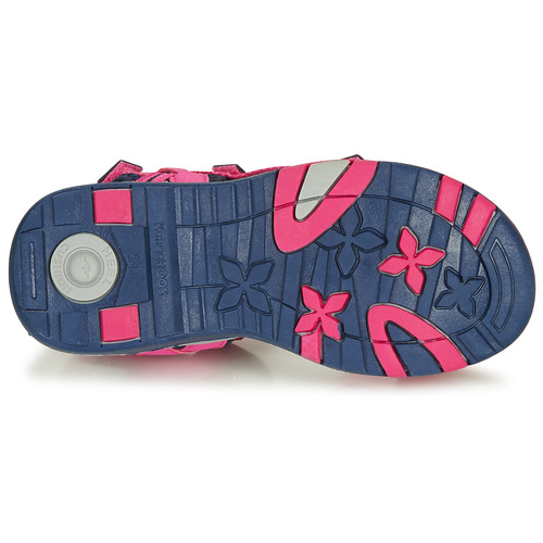 Kangaroos - K-LENI - Rose