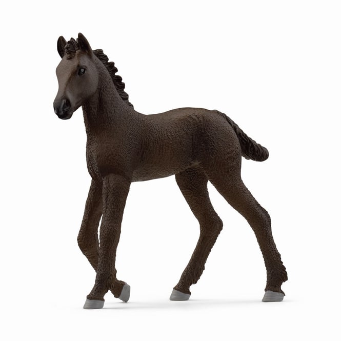 HORSE CLUB - Friese Fohlen