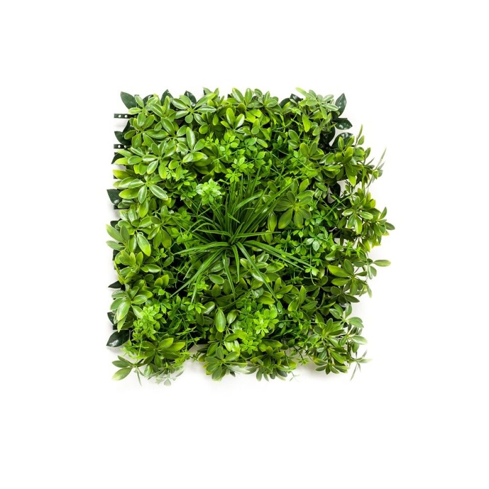 SCHEFFLERA EMERALD KUNSTIG 50X50CM