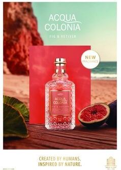 ACQUA COLONIA - FIG & VETIVER - Eau de Cologne - Citrusgroen