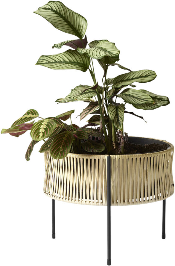 Audo Copenhagen Umanoff, Planter, H 32,5 Brun & sort
