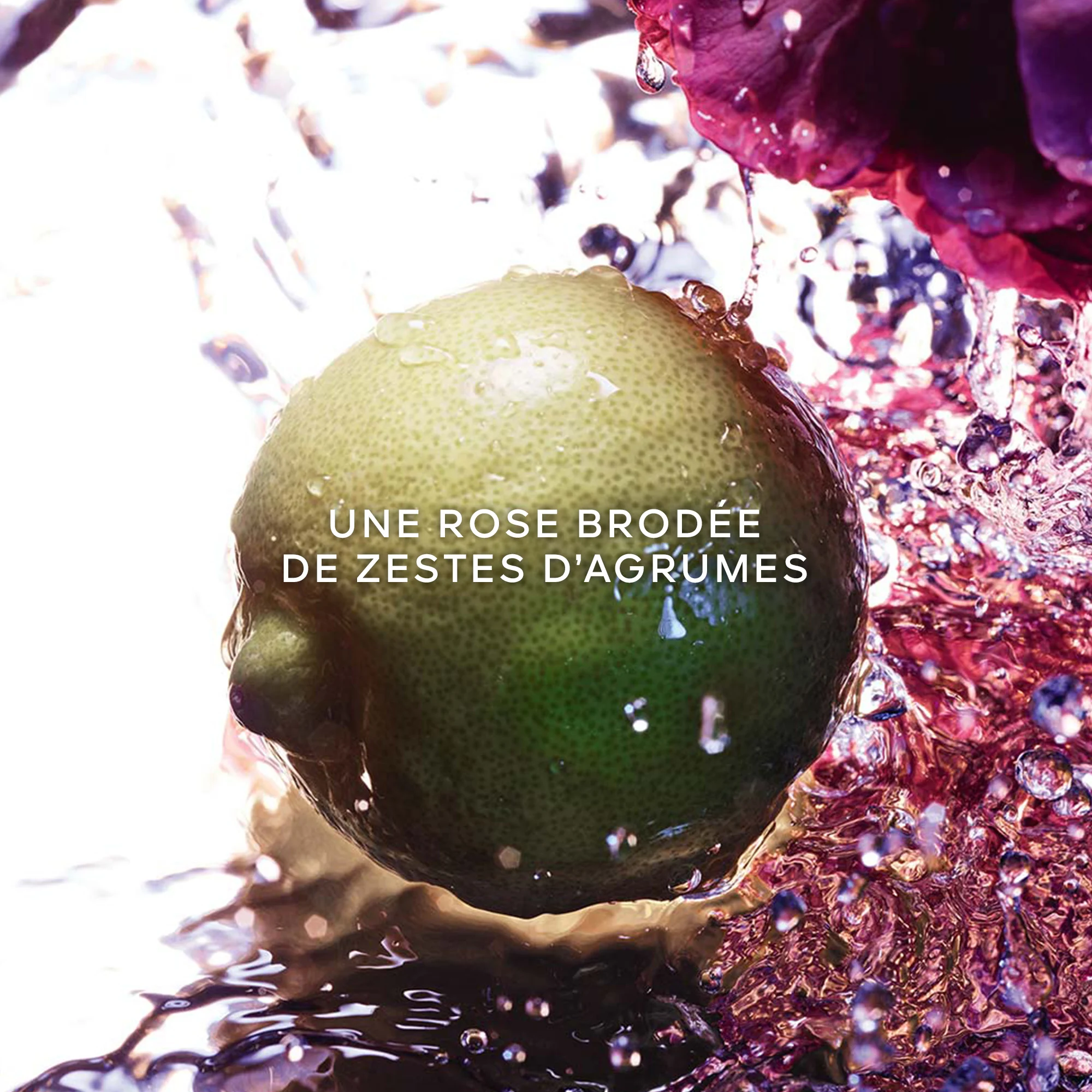 La Petite Robe Noire - Eau de Toilette |