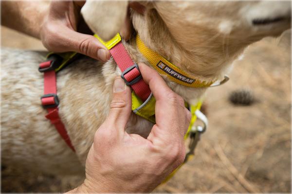 RUFFWEAR® Hundegeschirr Hi & Light™ Harness