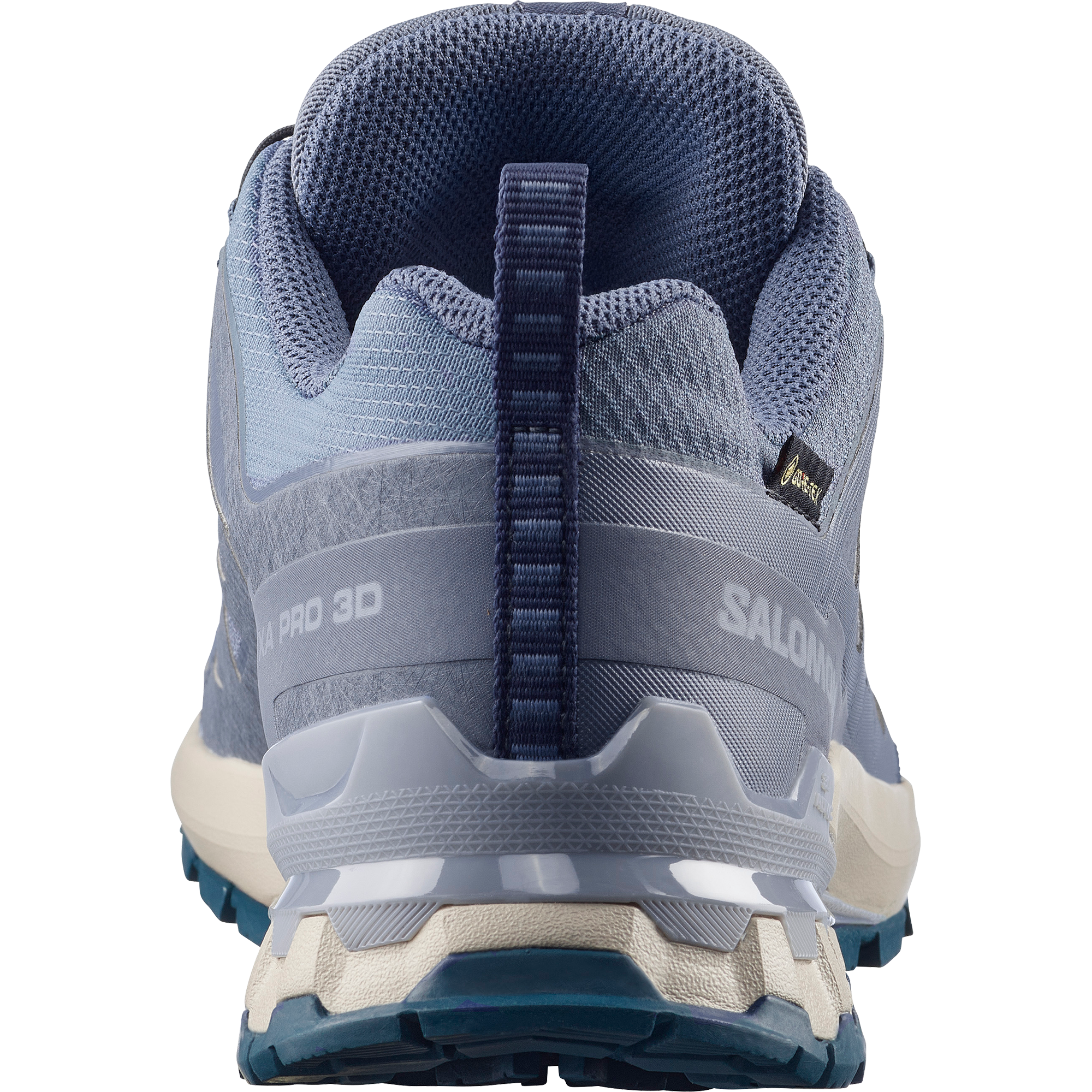 Salomon Trailrunningschuh »XA PRO 3D V9 GORE-TEX«  wasserdicht